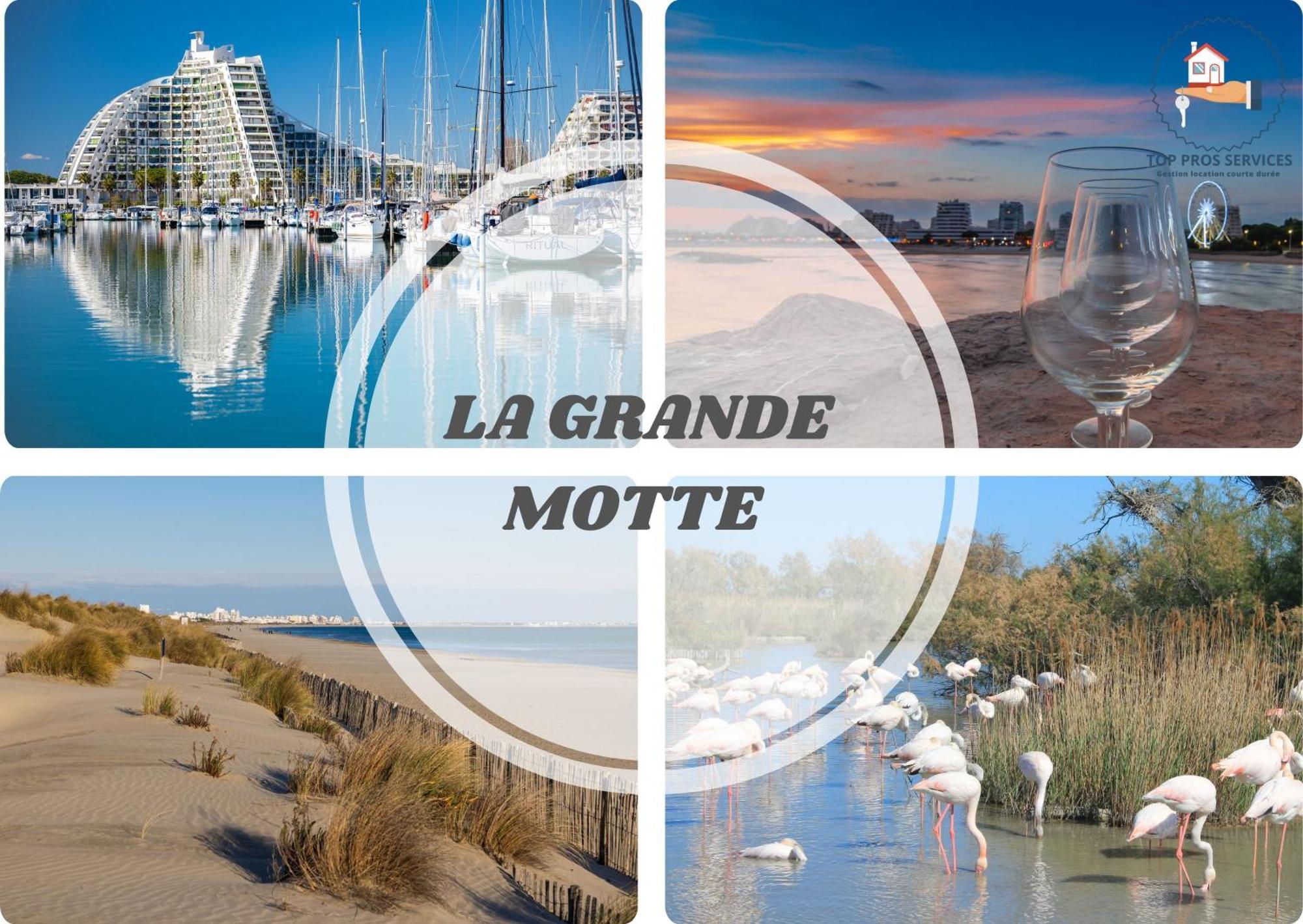 Apartment Le Dream Beach-terrasse-vue D'exception-wifi-parking - Pros Servicesconciergerie